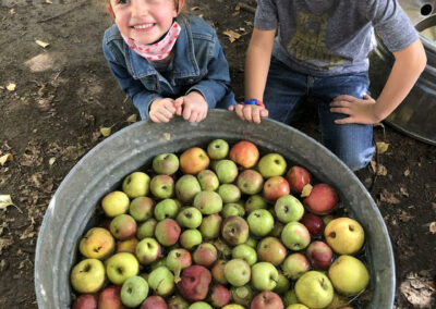 kindergarten students with big barrel of apples