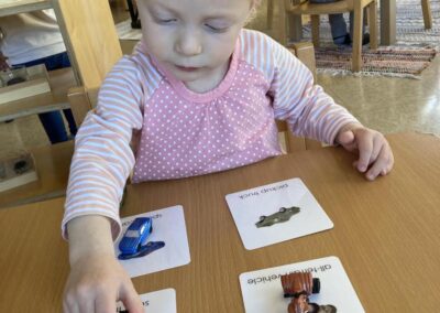 child places toys on flashcards