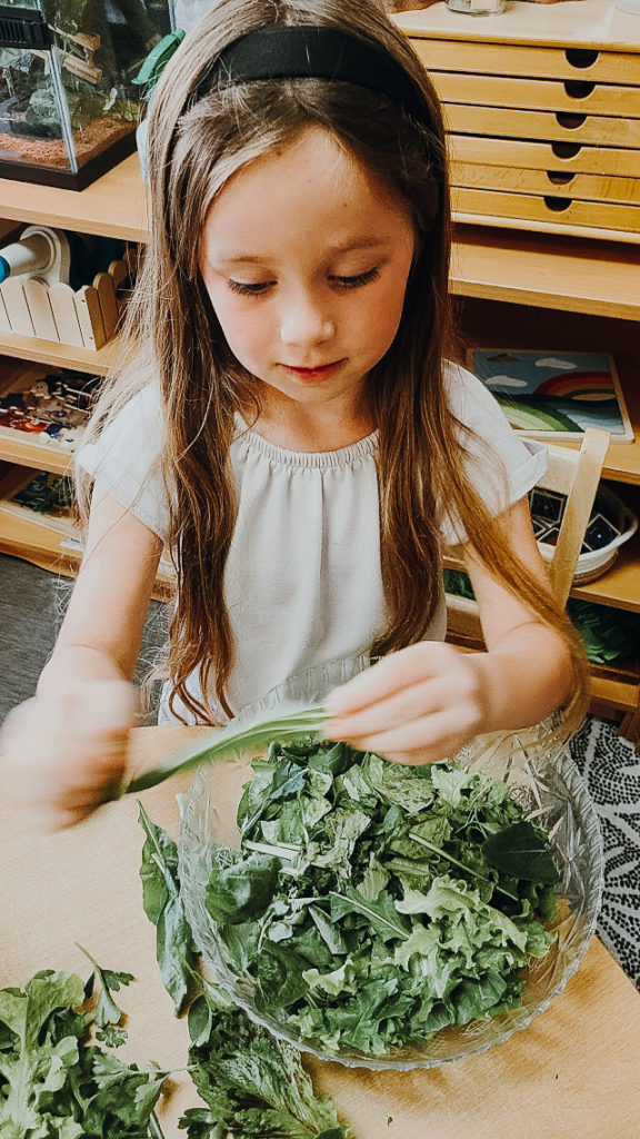 Child prepares salad