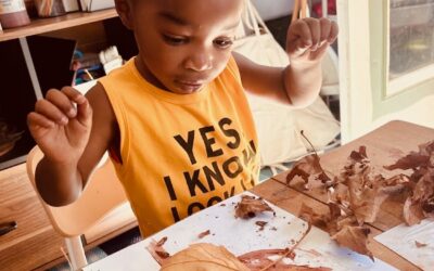 Gentle Transitions: Helping Children Navigate Change | Wild Roots Temecula