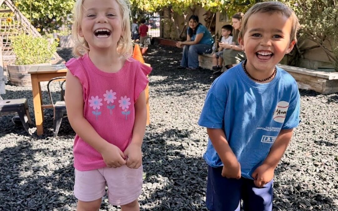 Soak Up the Sun: Playful Days, Endless Fun