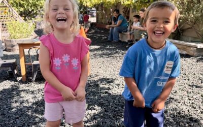 Soak Up the Sun: Playful Days, Endless Fun